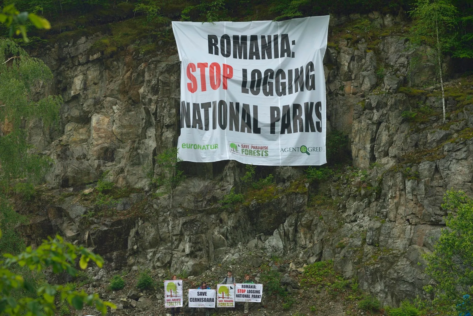 Banner „Romania: Stop logging national parks” pe un perete stâncos, cu activiști și pancarte la bază