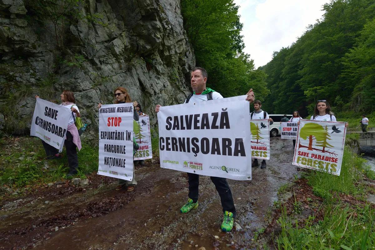 Oameni țin pancarte pentru salvarea Cernișoarei și a pădurilor virgine, pe un drum lângă un perete stâncos.