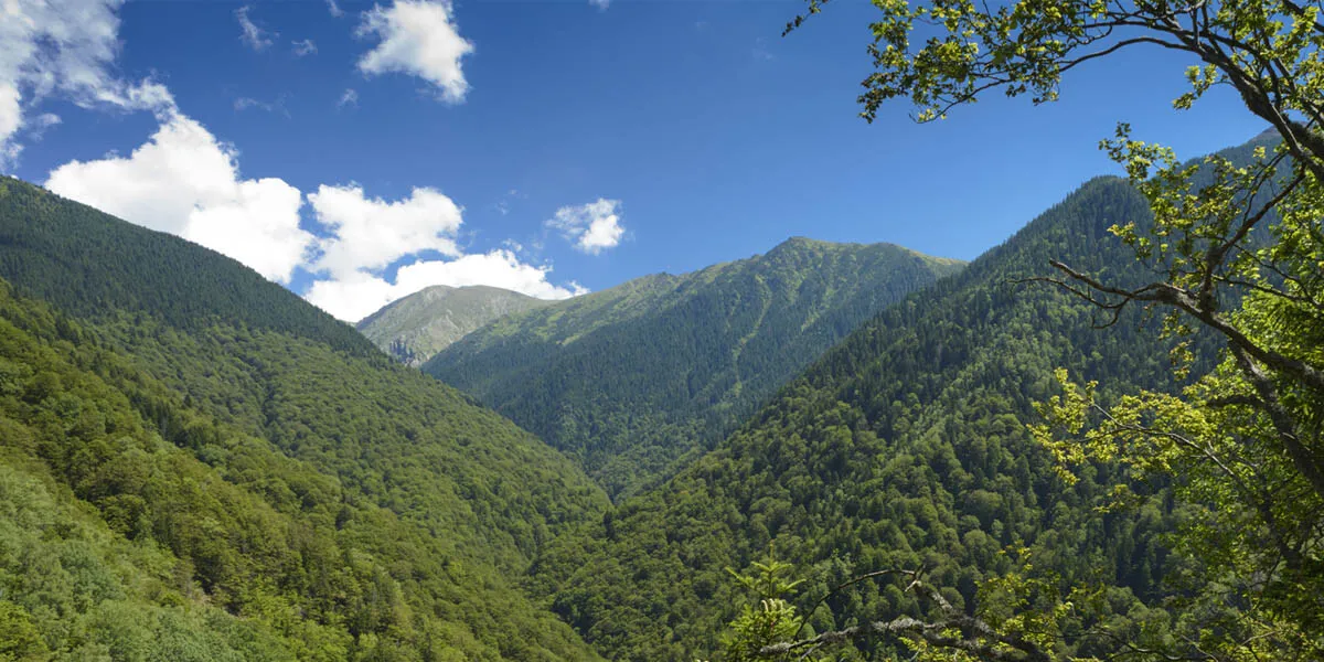 Vale împădurită între versanți montani, sub cer cu nori.