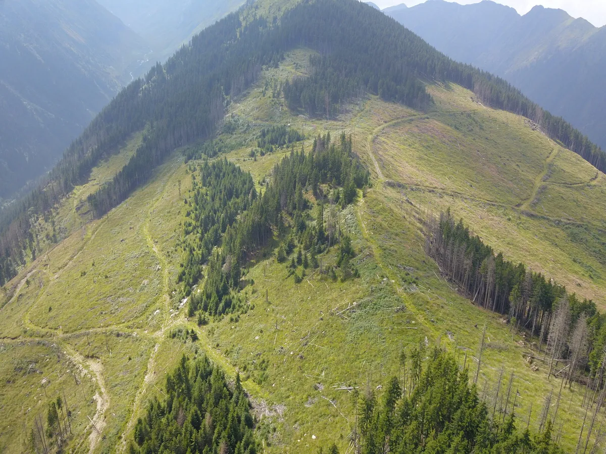 Culmi montane cu pajiști și suprafețe de pădure, văzute de sus.
