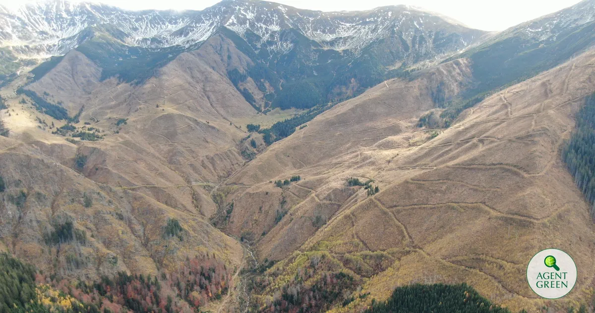 Vale montană cu păduri, versanți și creste cu zăpadă, cu sigla Agent Green.