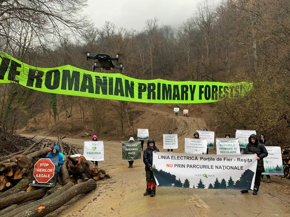 Persoane cu pancarte la un protest lângă bușteni și un banner despre protejarea pădurilor primare.