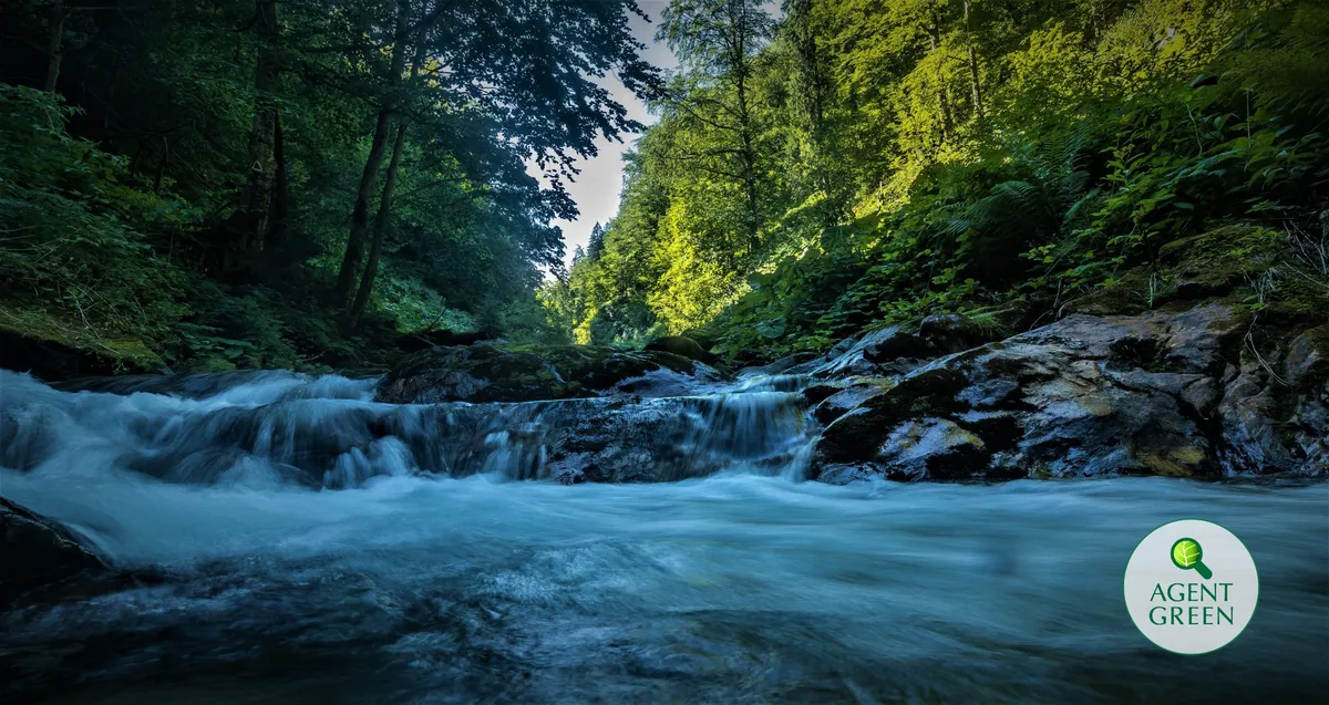 Râu curgând printre stânci într-o pădure, cu sigla Agent Green.