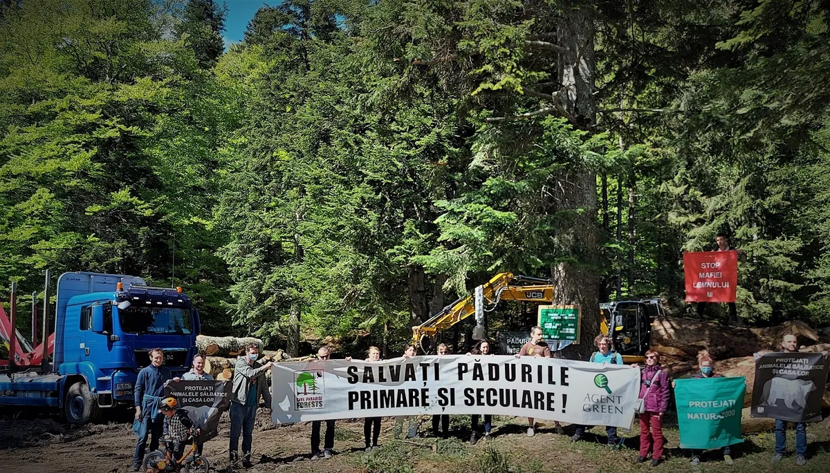 Persoane cu bannerul „Salvați pădurile primare și seculare!”, în fața unor utilaje și a unui camion la marginea pădurii.