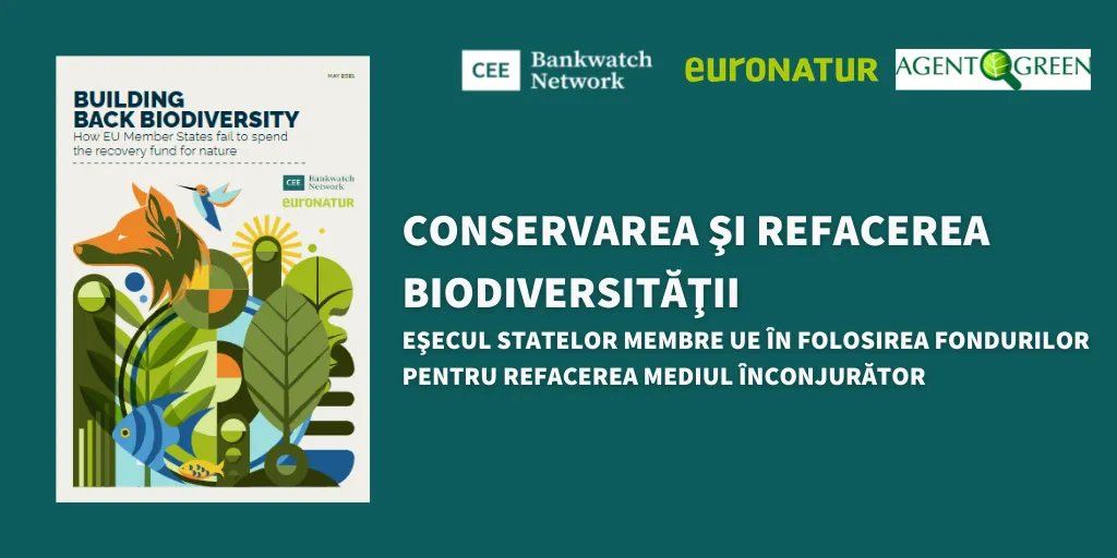 Banner despre conservarea și refacerea biodiversității, alături de coperta raportului Building Back Biodiversity.