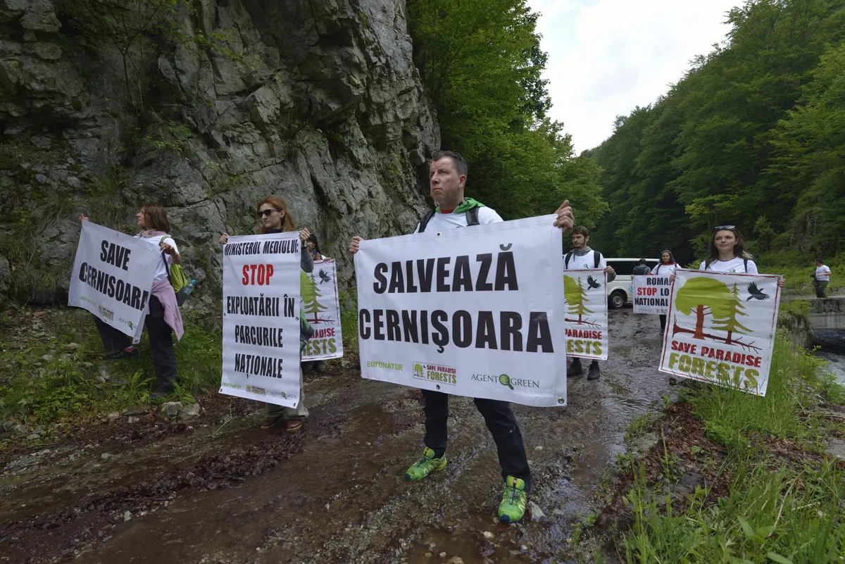 Persoane cu pancarte pentru protejarea pădurilor, pe un drum lângă un versant stâncos.