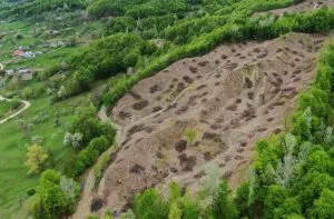 Suprafață tăiată în mijlocul unei păduri, văzută de sus.