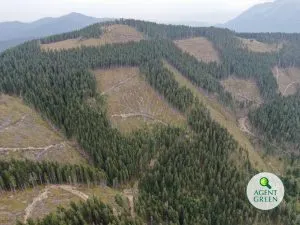 Vedere aeriană cu suprafețe tăiate pe versanți împăduriți, cu sigla Agent Green.