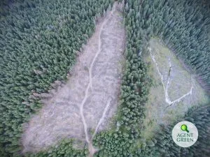 Suprafață tăiată văzută de sus, înconjurată de pădure, cu sigla Agent Green.