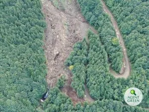 Vedere de sus a unei suprafețe tăiate între păduri, cu sigla Agent Green.