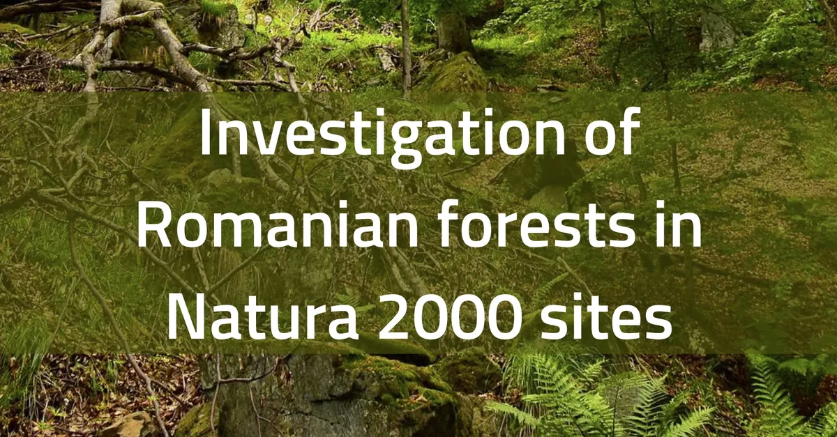 Coperta cu textul în engleză „Investigation of Romanian forests in Natura 2000 sites”, peste o fotografie de pădure
