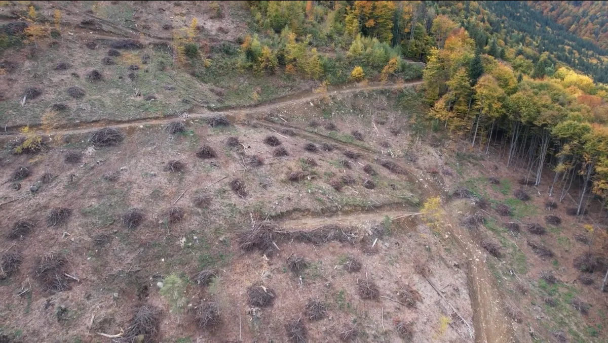 Versant cu suprafețe tăiate și drumuri de pământ, lângă pădure.