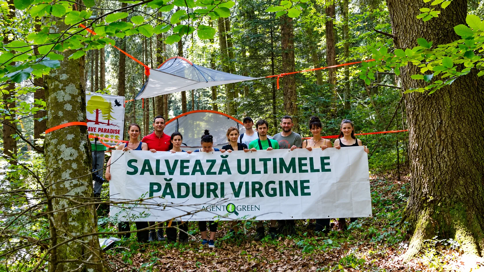 Membri Agent Green într-o pădure, ținând un banner cu mesajul «Salvează ultimele păduri virgine»