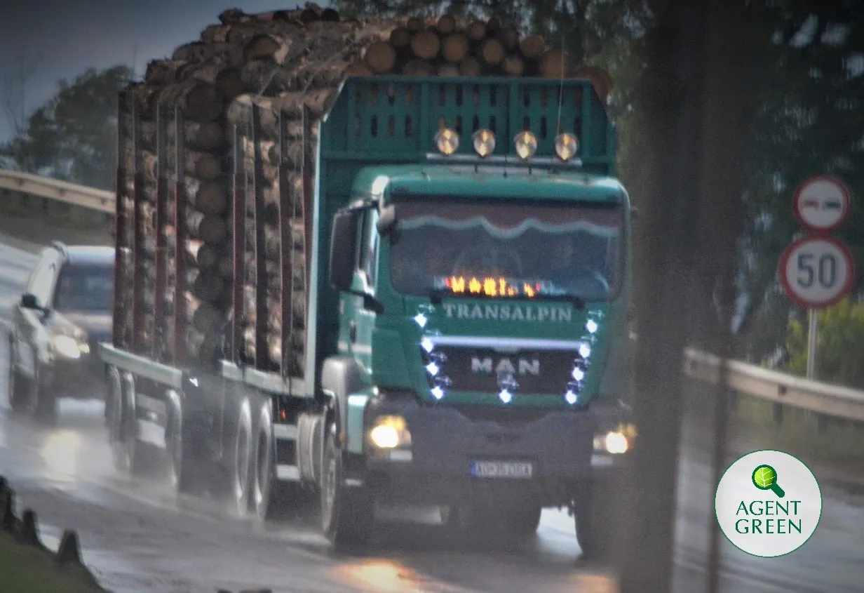 Camion încărcat cu bușteni pe un drum, cu sigla Agent Green