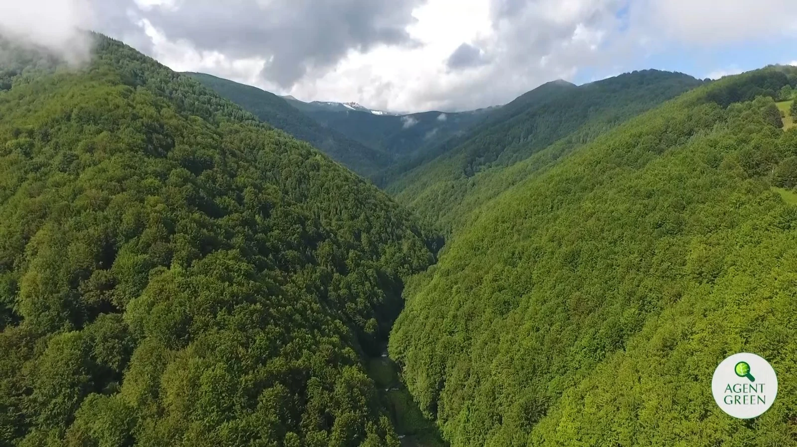Vedere aeriană asupra unui peisaj montan împădurit, cu sigla Agent Green