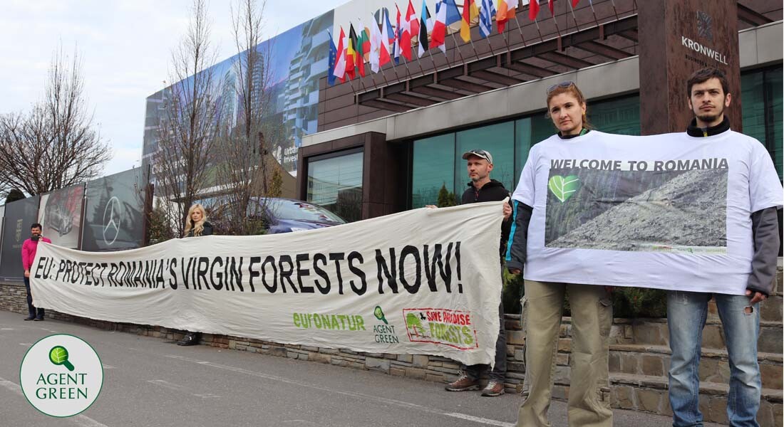 protest brasov