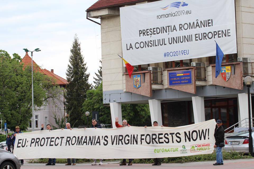 protest paduri bistrita