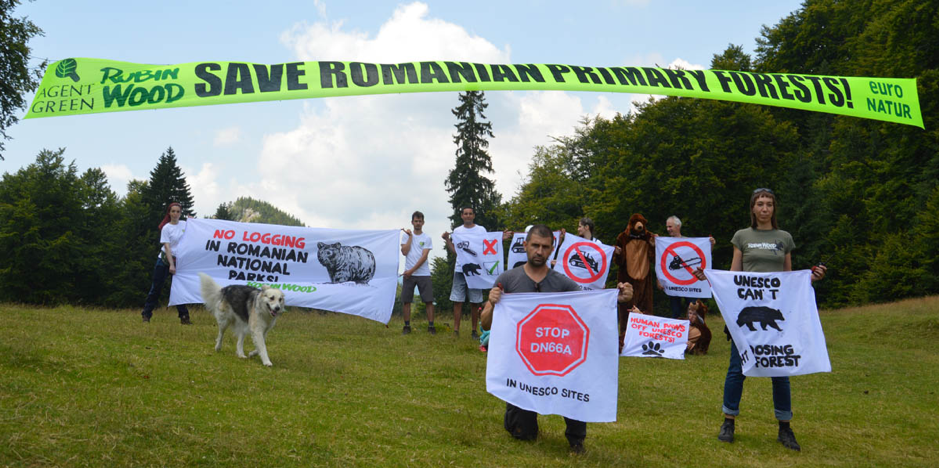 DEVINO VOLUNTAR HOMEPAGE COPYRIGHT AGENT GRENN