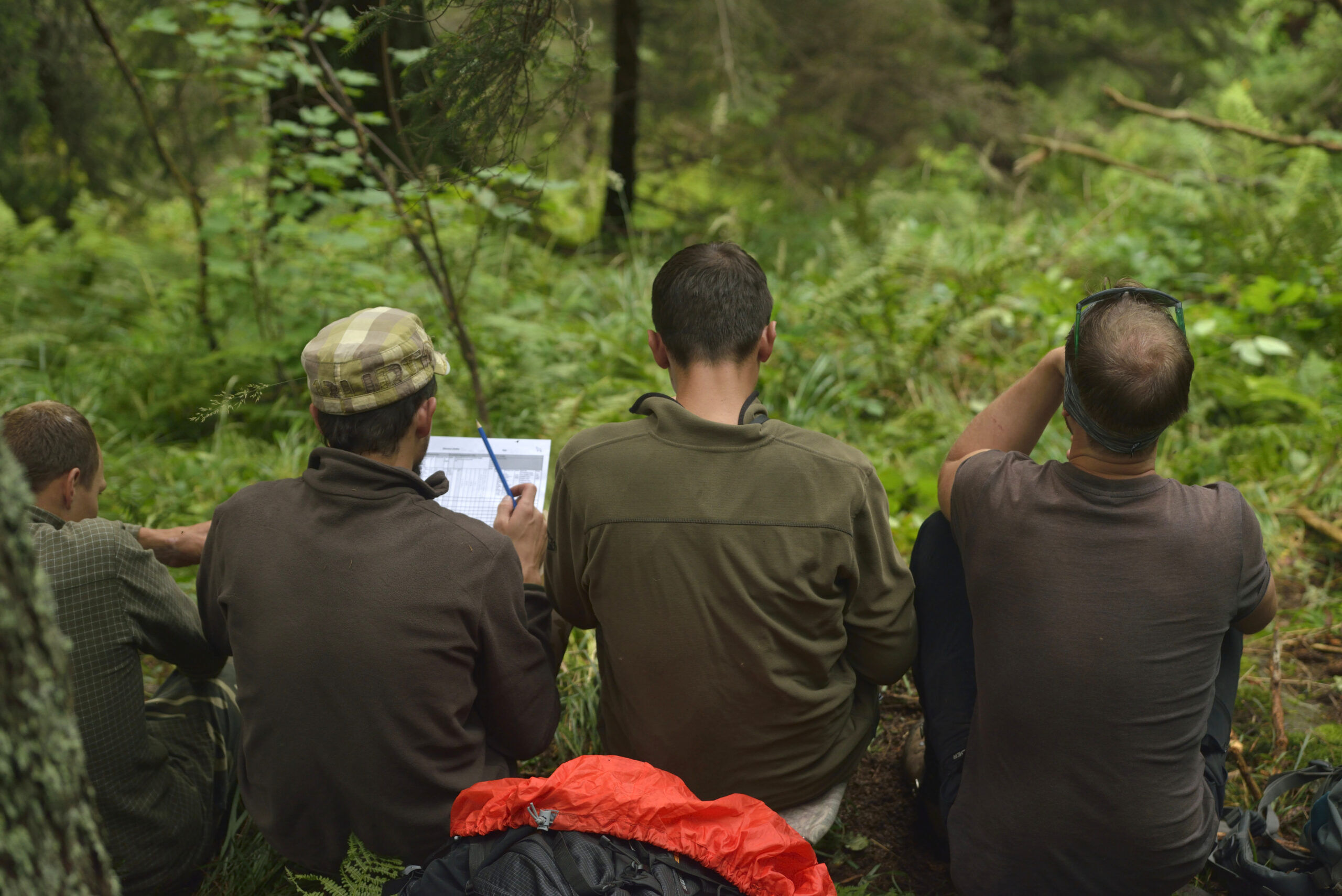 Fagaras mountains - Romania