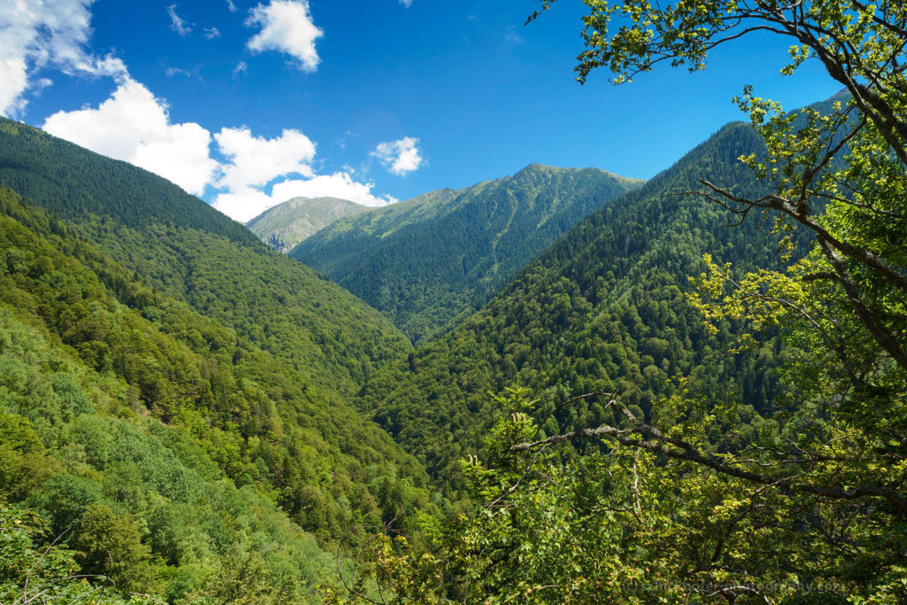 Munții Făgăraș, sit Natura 2000 / Pădure primară neprotejată, Valea Boia Mică