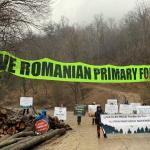 Save Romanian primary forest