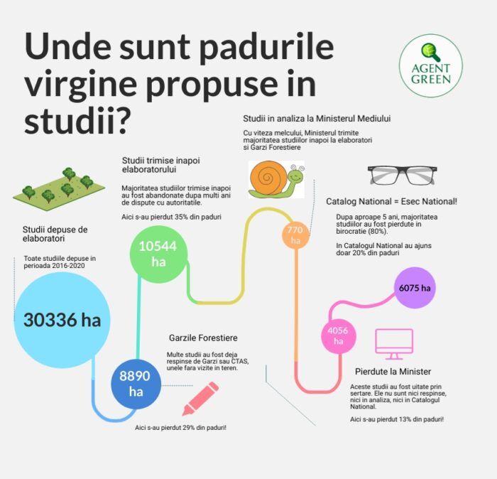 Unde sunt padurile virgine propuse in studii