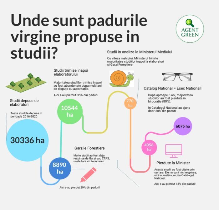 Unde sunt padurile virgine propuse in studii