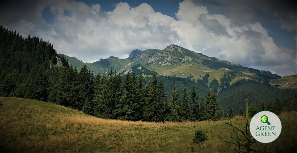 Viitorul parc national Ciucas
